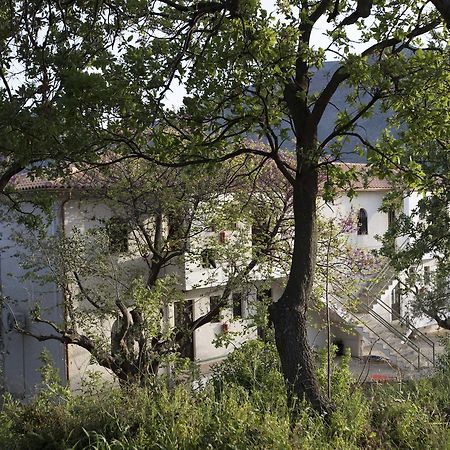 Kavoulakos Studios Skoutárion Exterior foto