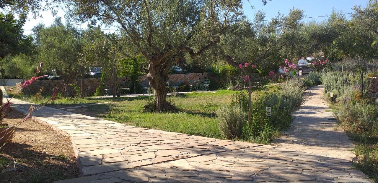 Kavoulakos Studios Skoutárion Exterior foto
